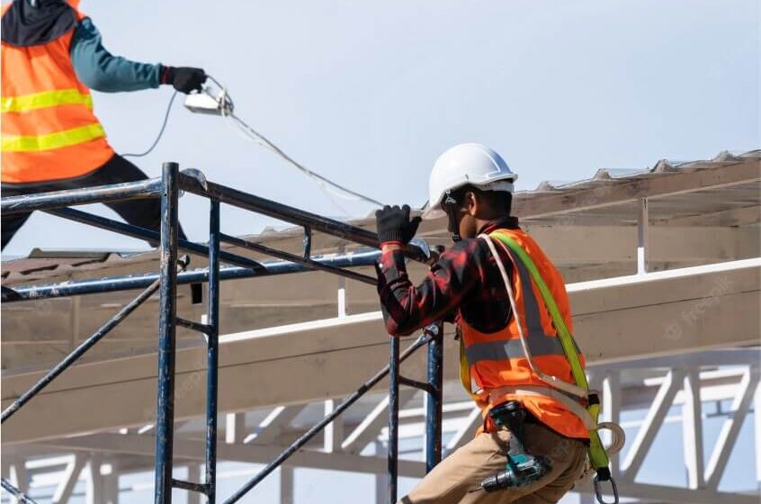 Roof Access Ladder